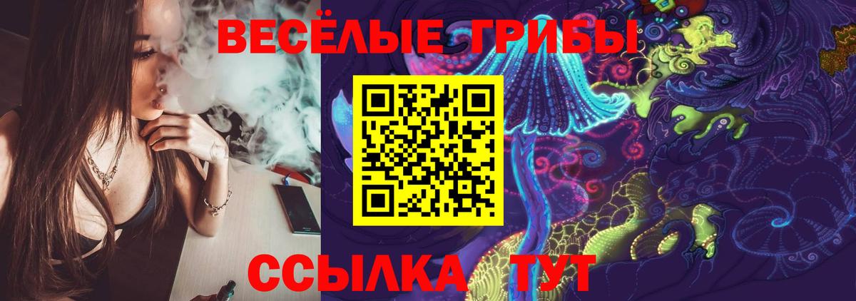 Псилоцибиновые грибы Cubensis Кинель