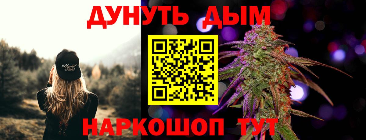 Бошки марихуана конопля Кинель